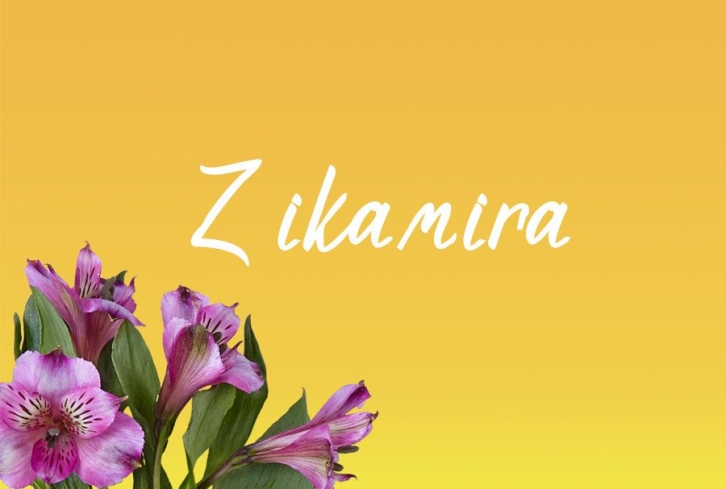 Zikamira Font Download