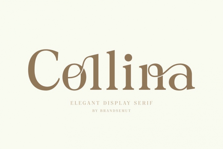 Collina - Ligature Serif Font Font Download