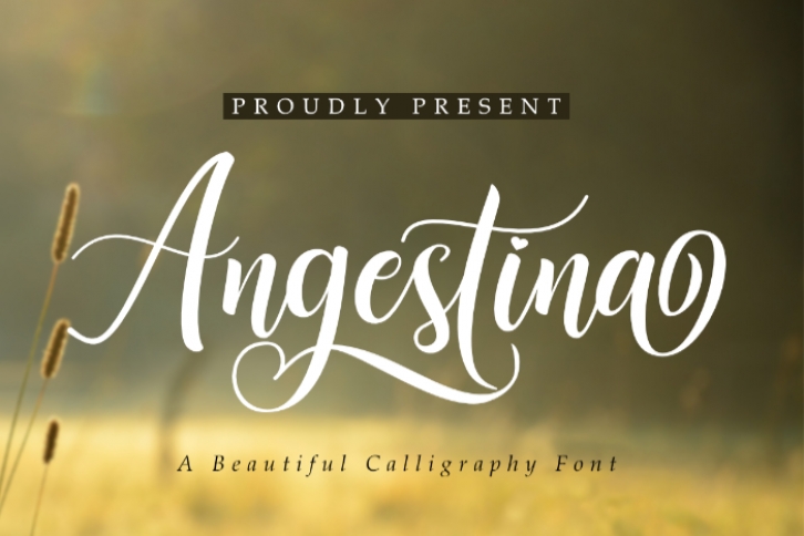 Angestina Font Download