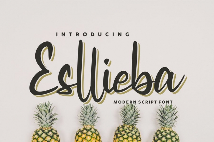 Esllieba Script Font Font Download