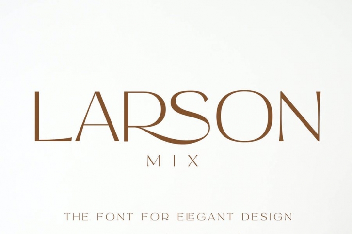Larson Mix Modern Advertisement Font Font Download