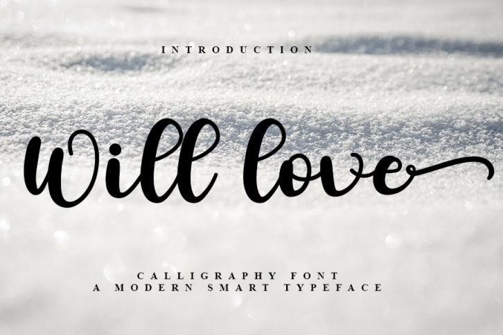 Will Love Font Download