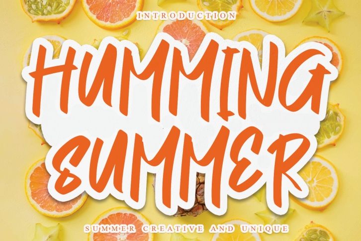 Humming Summer Font Download