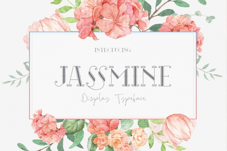 Jassmine Typeface Font Download