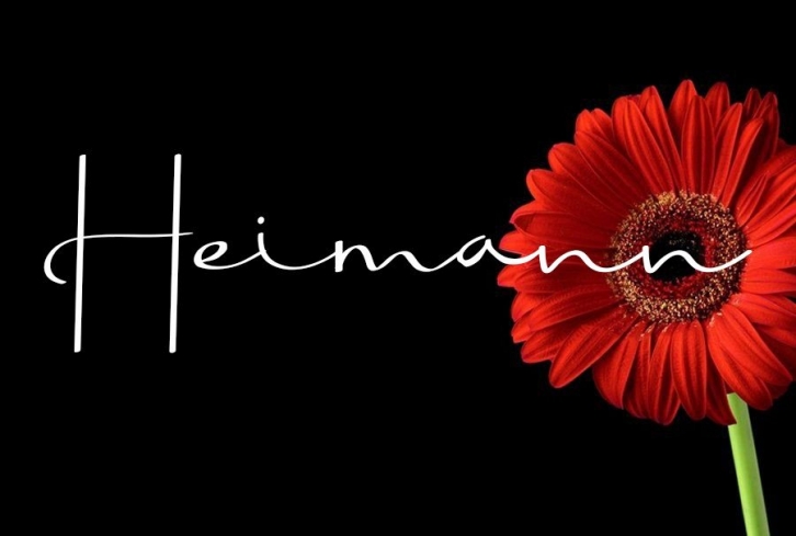 Heimann Font Download