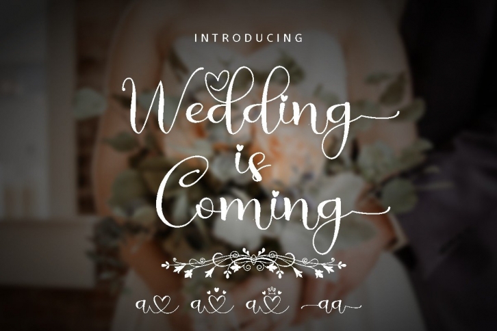 Wedding is Coming Font Download
