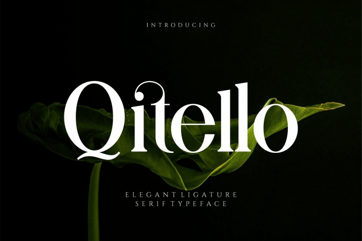 Qitello Font Download