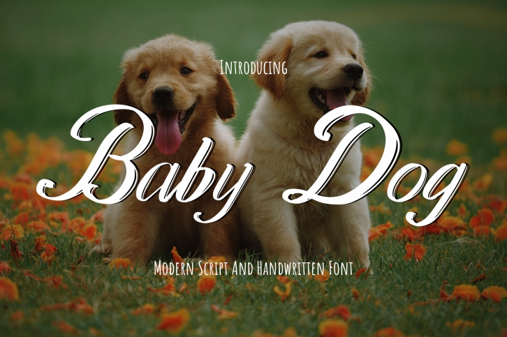 Baby Dog Font Download