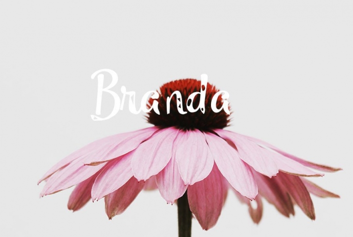 Branda Font Download