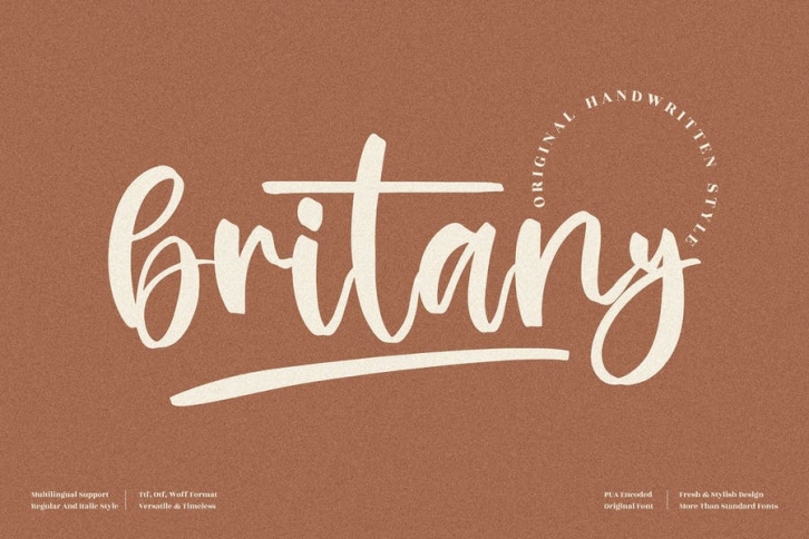 Britany Beautiful Handwritten LS Font Download