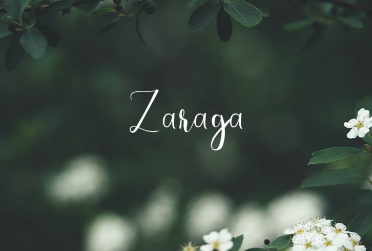 Zaraga Font Download