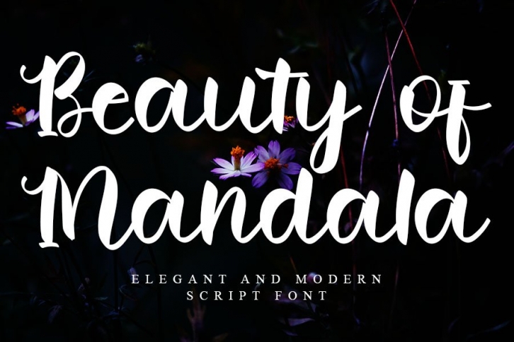 Beauty of Mandala Font Download