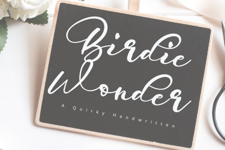 Birdie Wonder Font Download