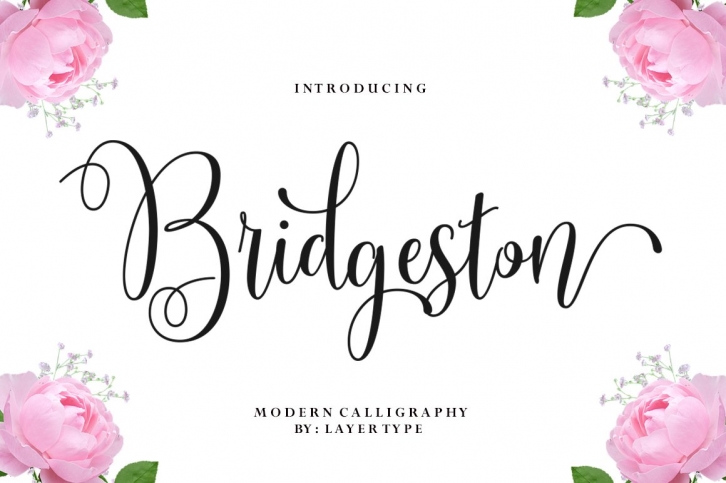 Bridgeston Font Download