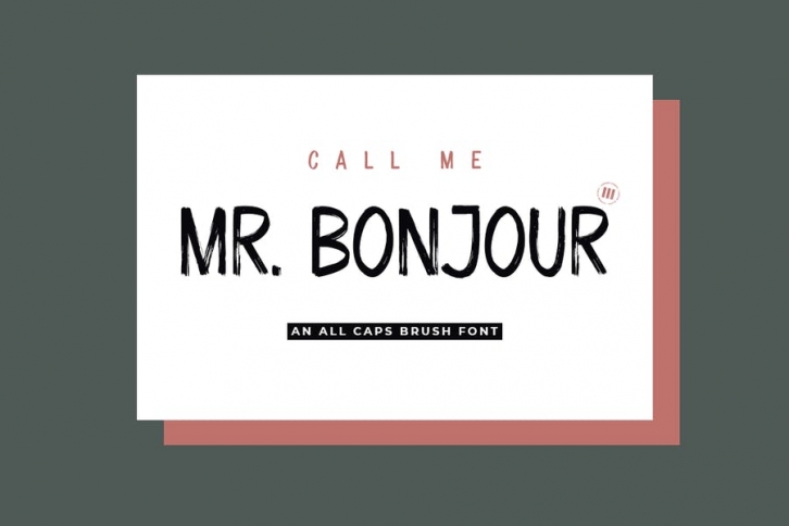 Mr. Bonjour - A Stylish Brush Font Font Download