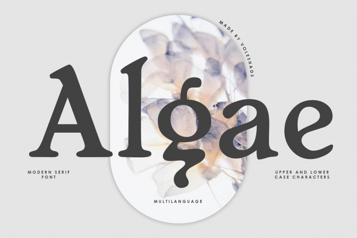 Algae Modern Serif Font Download