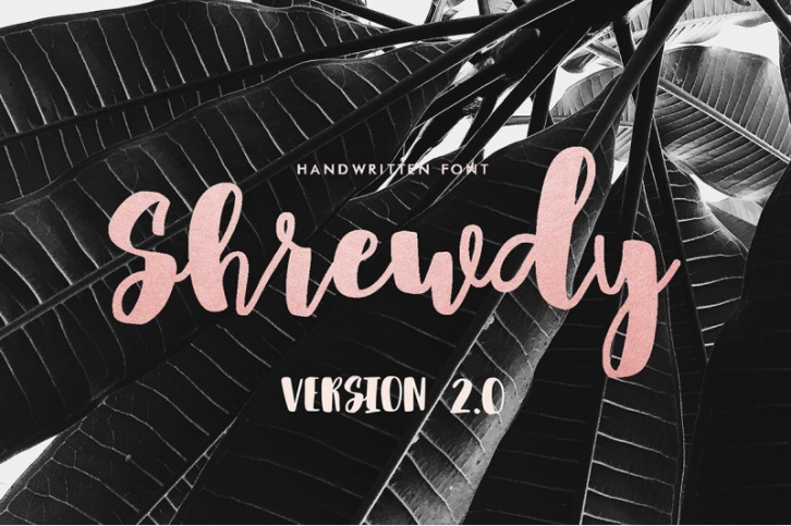 Shrewdy Script | Version 2.0 Font Download