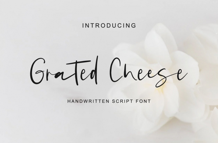Grated Cheese Font Download