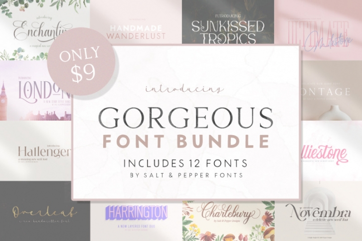 The Gorgeous Font Bundle (Font Bundles, Elegant Fonts, Sans Fonts) Font Download