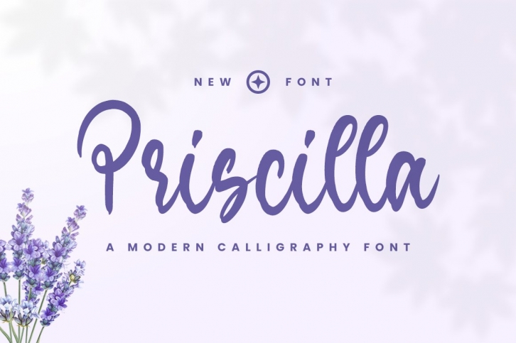 Priscilla Font Download