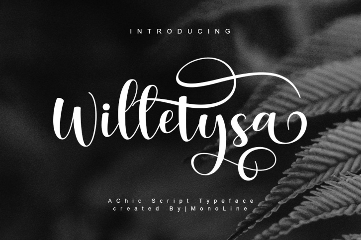 Willetysa Script Font Download