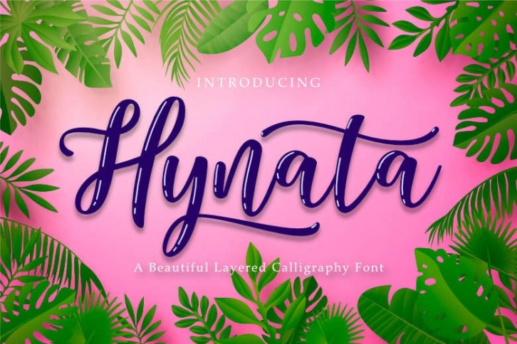 Hynata Font Download