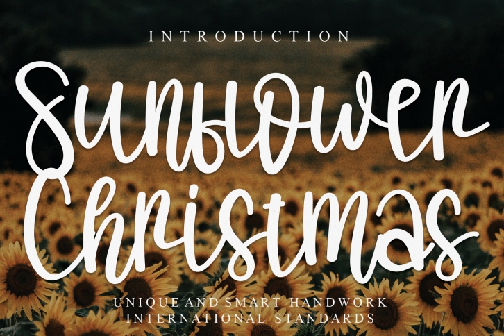 Sunflower Christmas Font Download