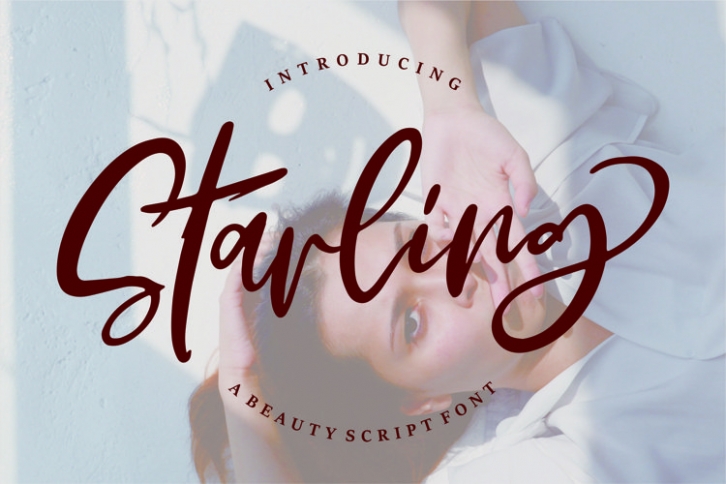 Starling Font Download