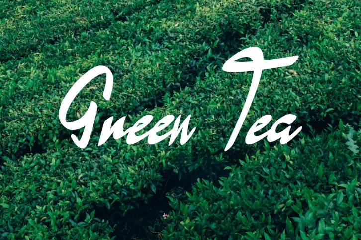 Green Tea Font Download