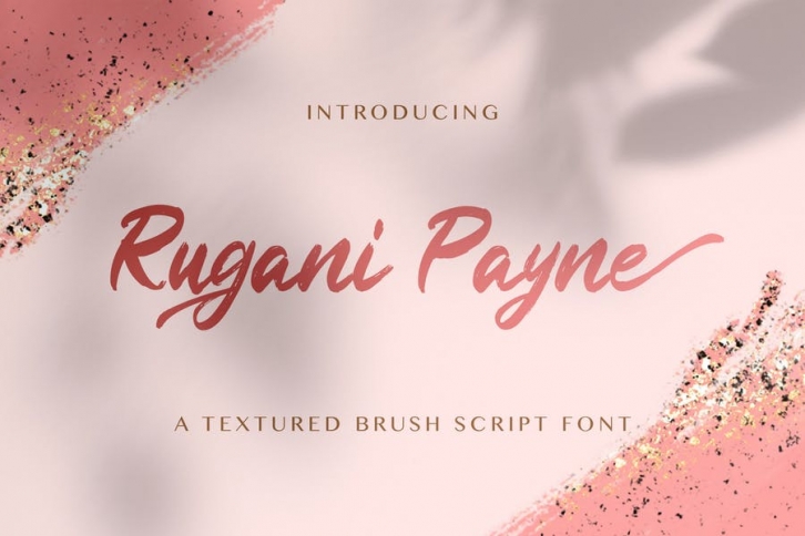 Rugani Payne - Textured Brush Font Font Download
