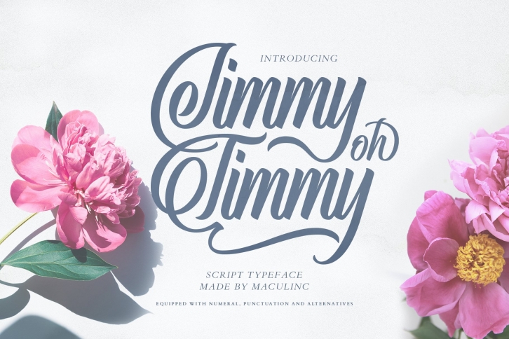 Jimmy Oh Timmy Font Download