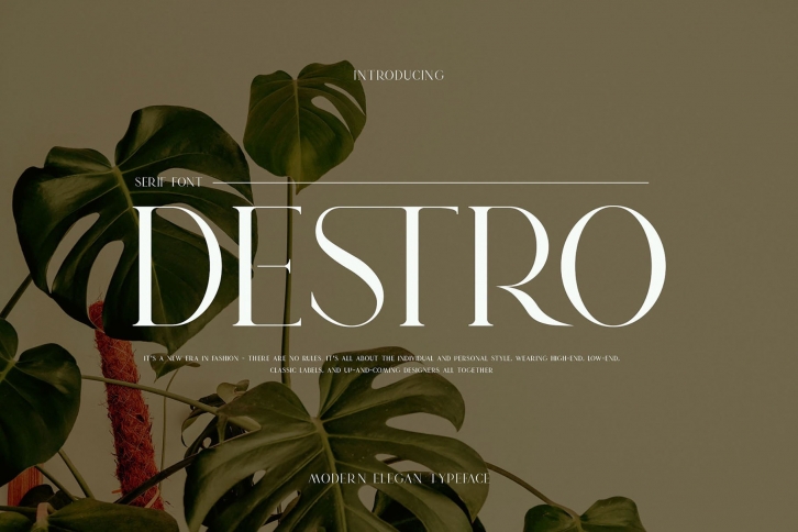 Destro Font Download