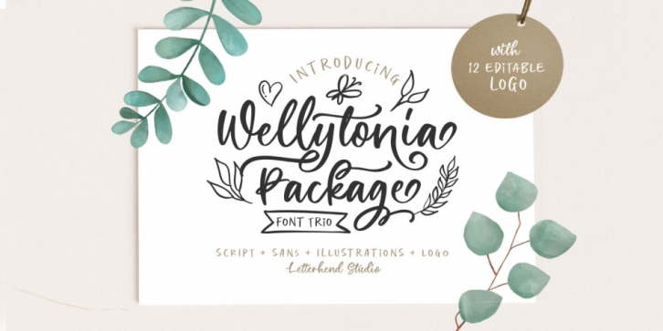 Wellytonia Package - Font Trio Font Download