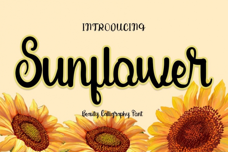 Sunflower Font Download