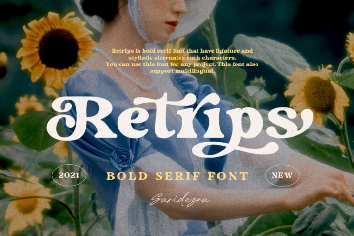 Retrips - Bold Serif Font Font Download