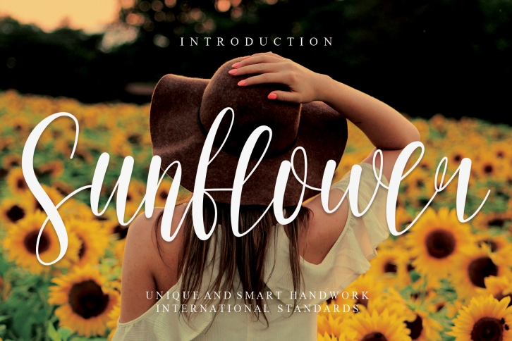 Sunflower Font Download