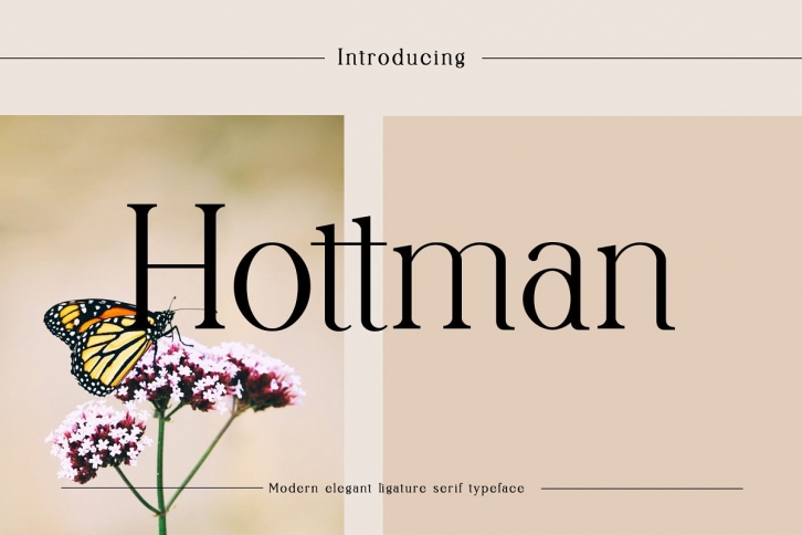 Hottman Ligature Serif Typeface Font Download