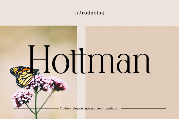 Hottman Font Download
