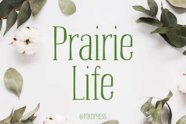 Prairie Life Font Download
