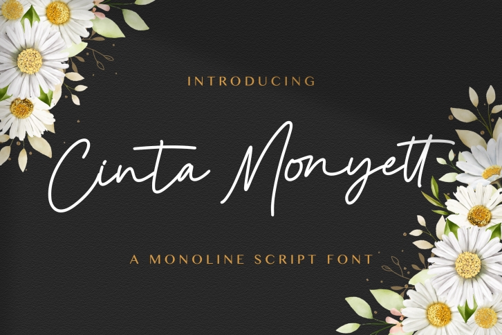 Cinta Monye Font Download