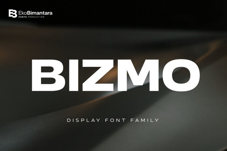 Bizmo; 18 of Display Family Font Download