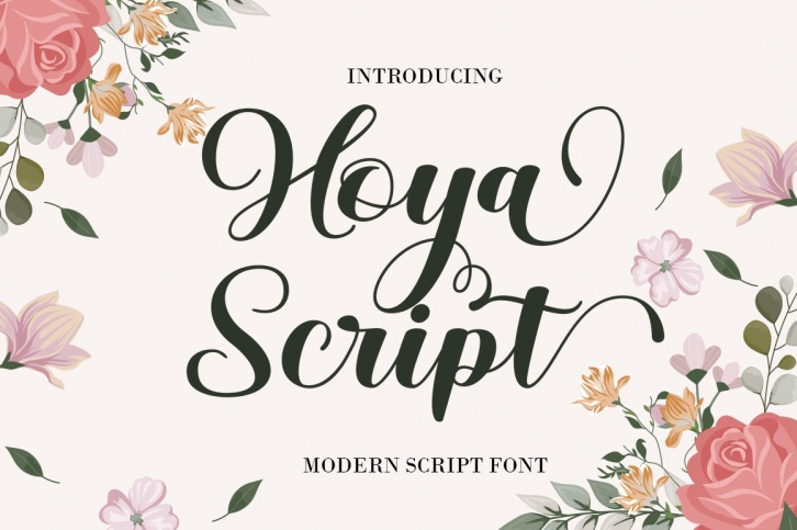 Hoya Script Font Download