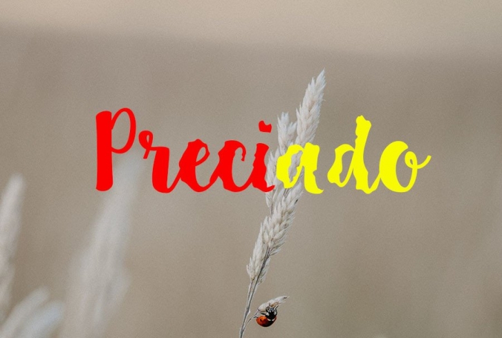 Preciado Font Download