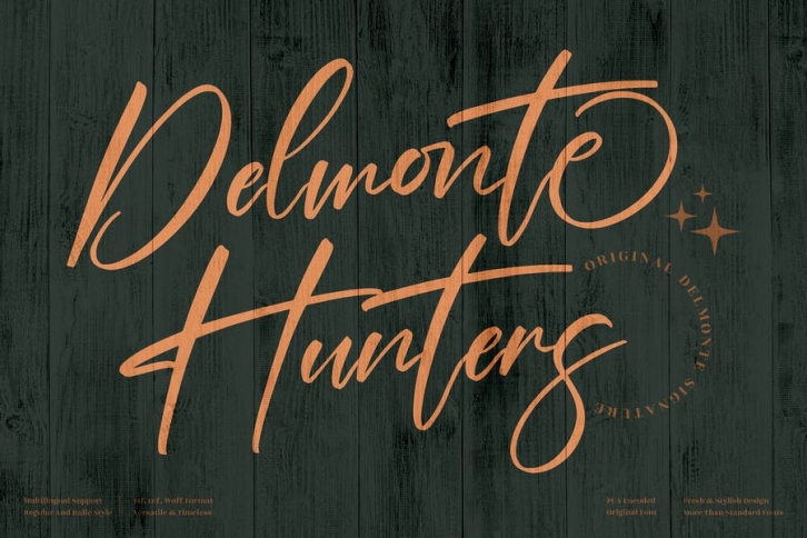 Delmonte Hunters Signature Script LS Font Download