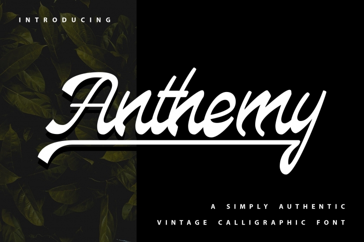 Anthemy Font Download