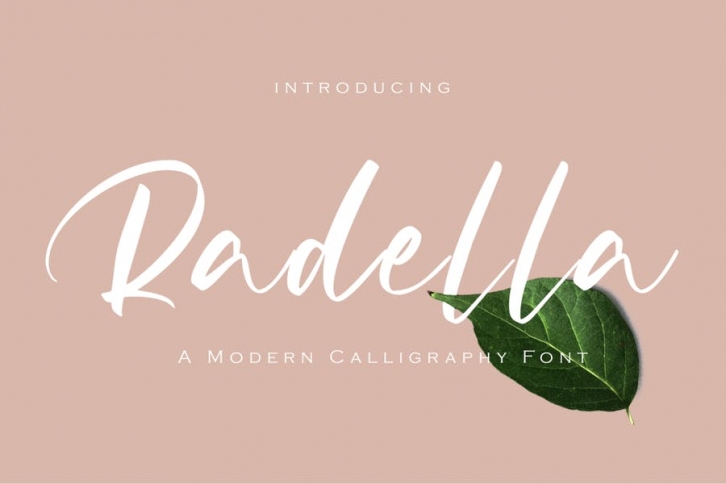 Modern Calligraphy Font Font Download