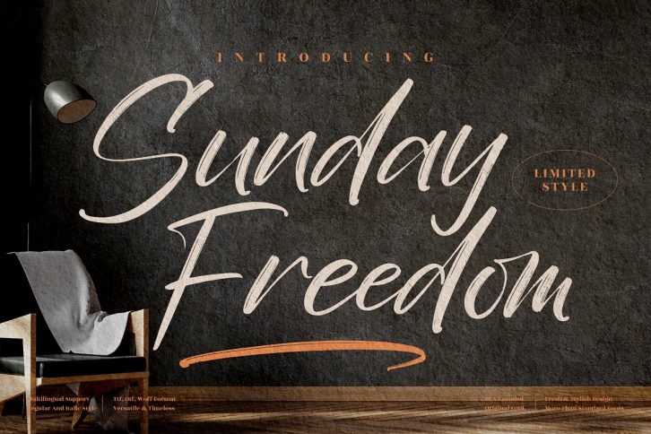 Sunday Freedom Handwritten Brush Font Download