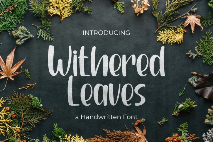 Withered Leaves Font Download