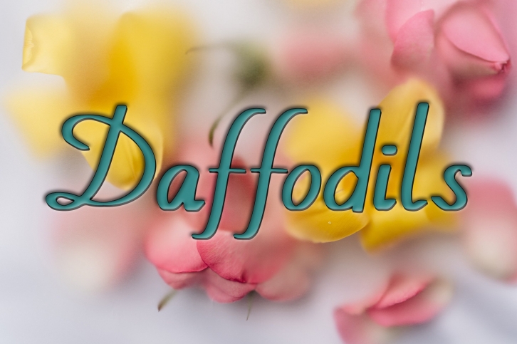 Daffodils Font Download