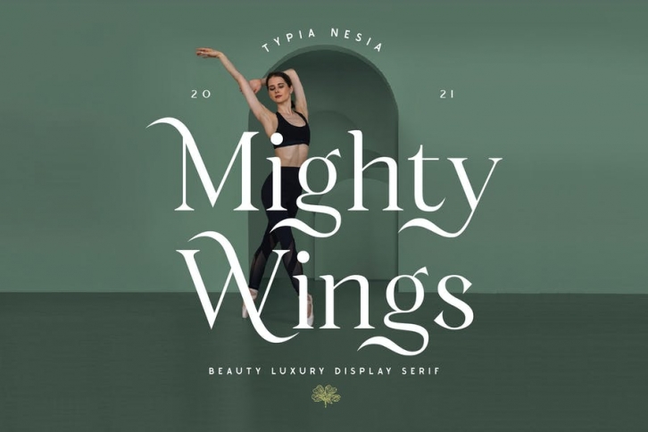 Mighty Wings - Elegant Classy Display Serif Font Download